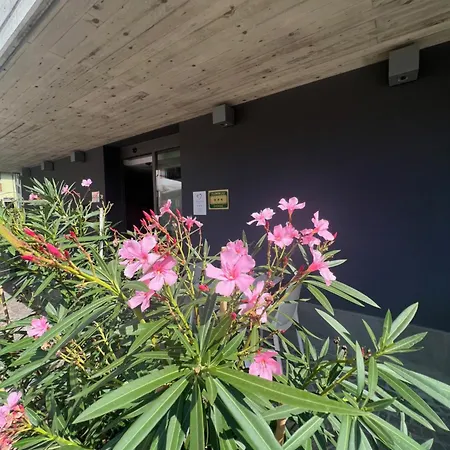San Valentino 3* Villa di Serio